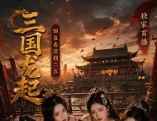 征服三国龙起10集
