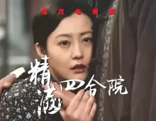 魔改电视剧《情满四合院》重制版完整版11分钟 黎姿 佘诗曼1集