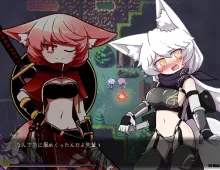 【日系RPG/AI汉化】暗影之狼 Wolf of Shadow.v0.8.0.7【PC/377M】