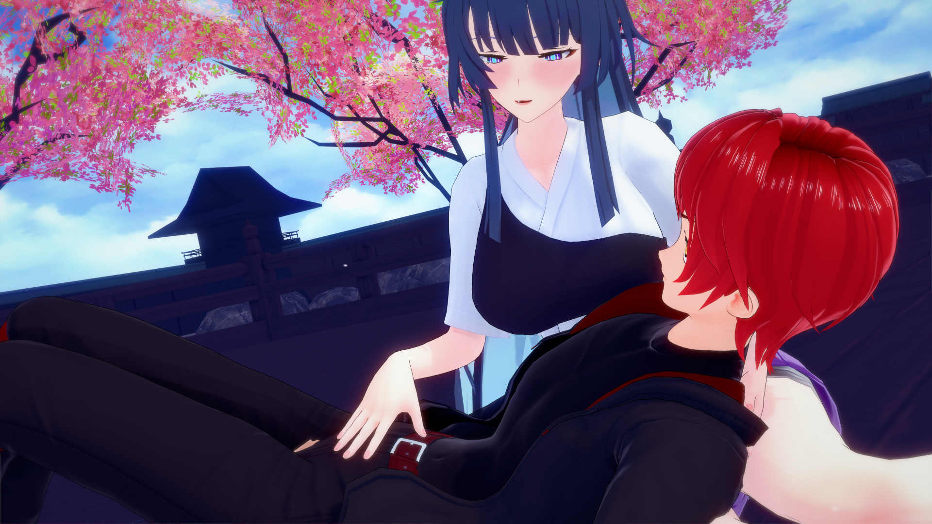 mei_lap_26.jpg