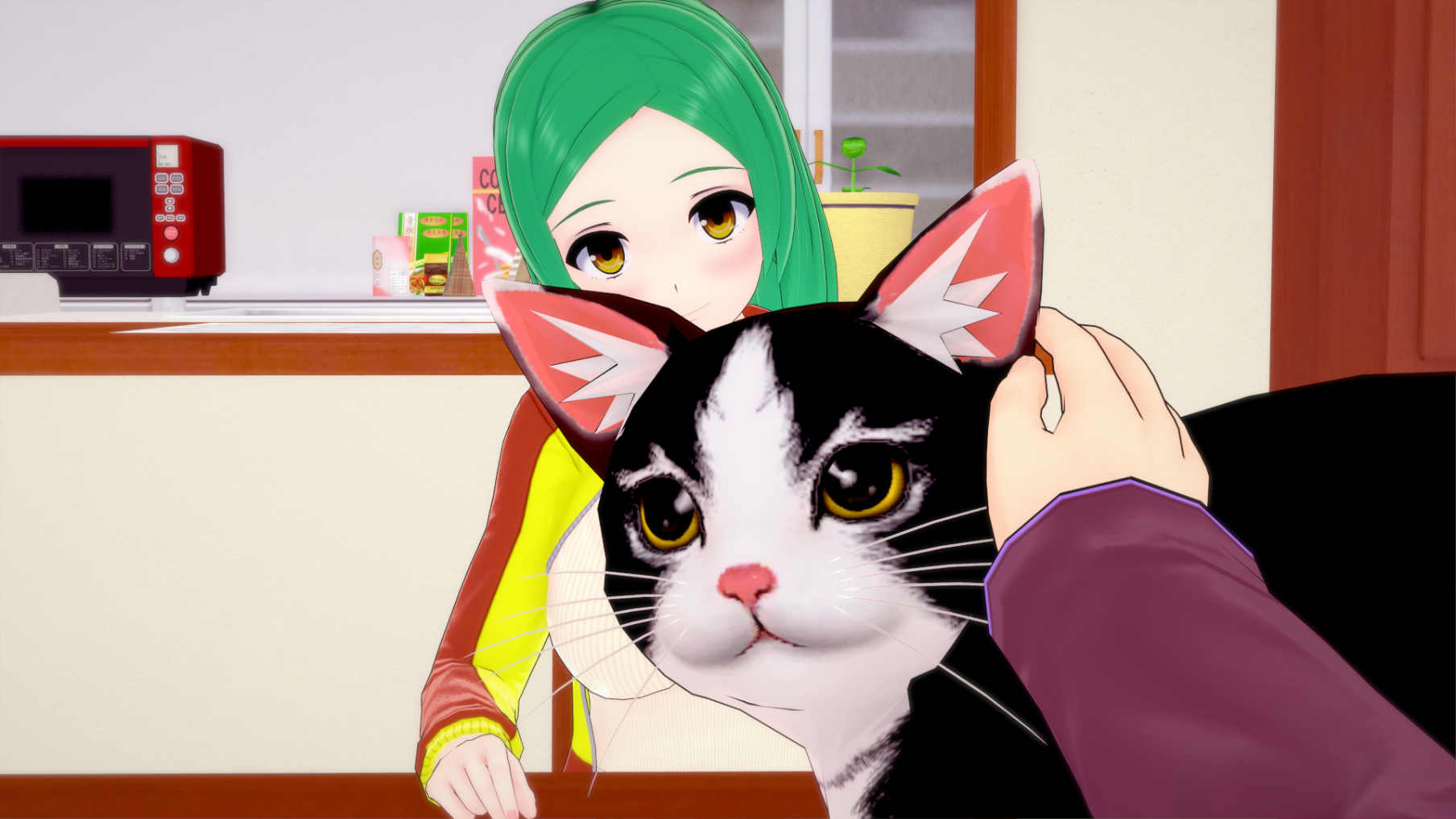 screenshot0006.jpg