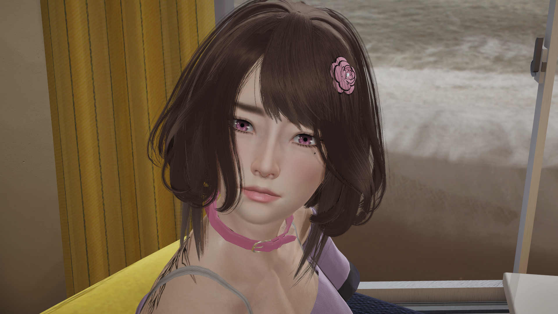 daisy_main_4_12.jpg