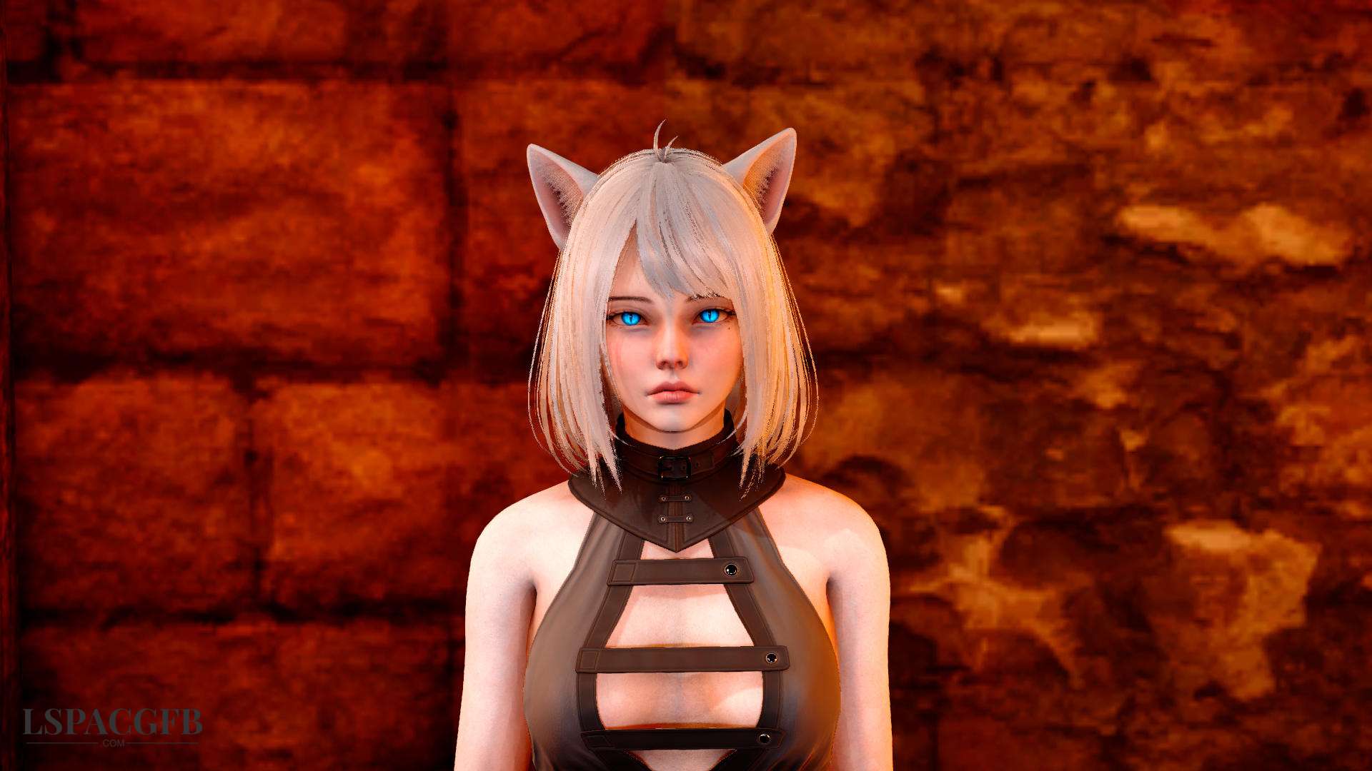 cat1_05.jpg
