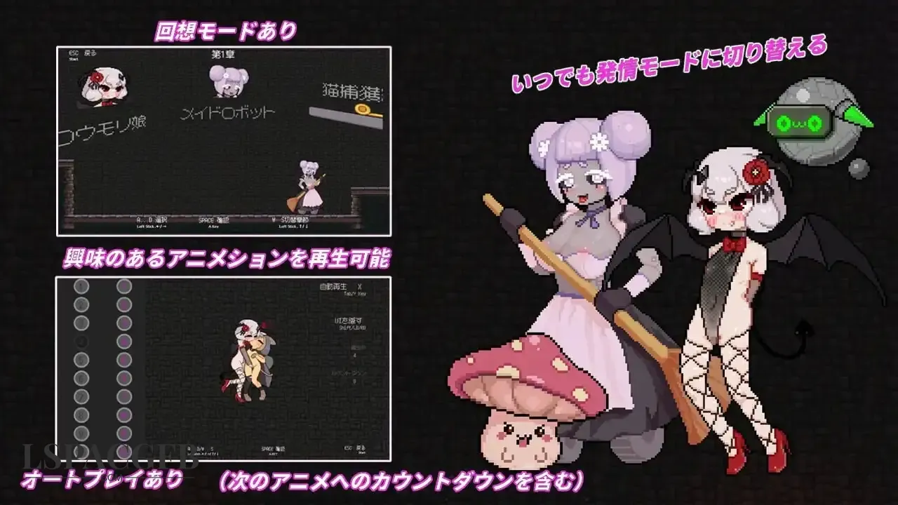 5.webp