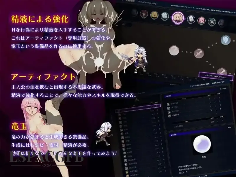 12.webp