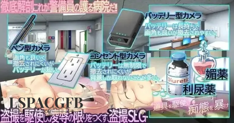 6.webp