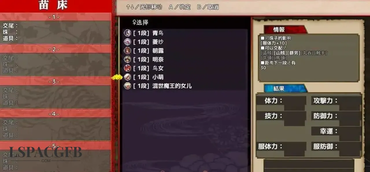 7.webp