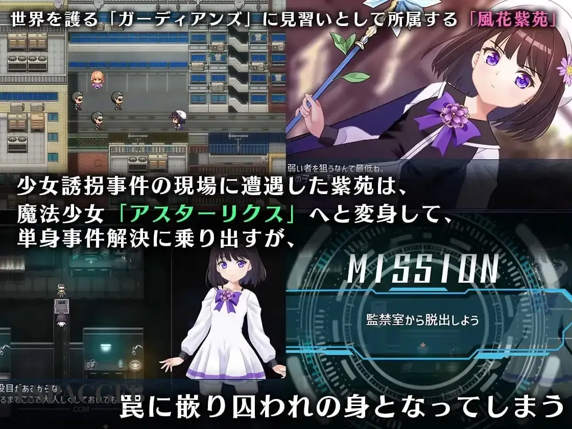 4.webp