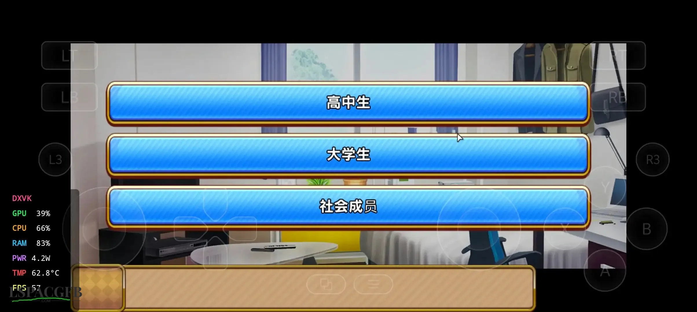 13.webp