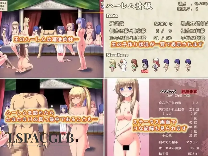 5.webp