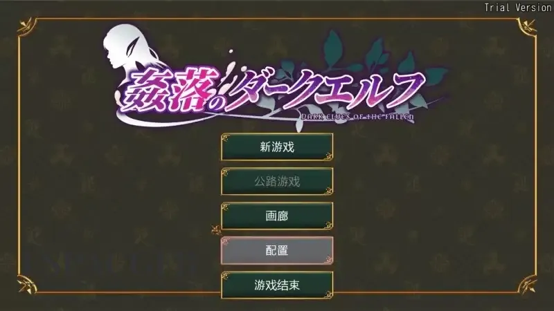 6.webp