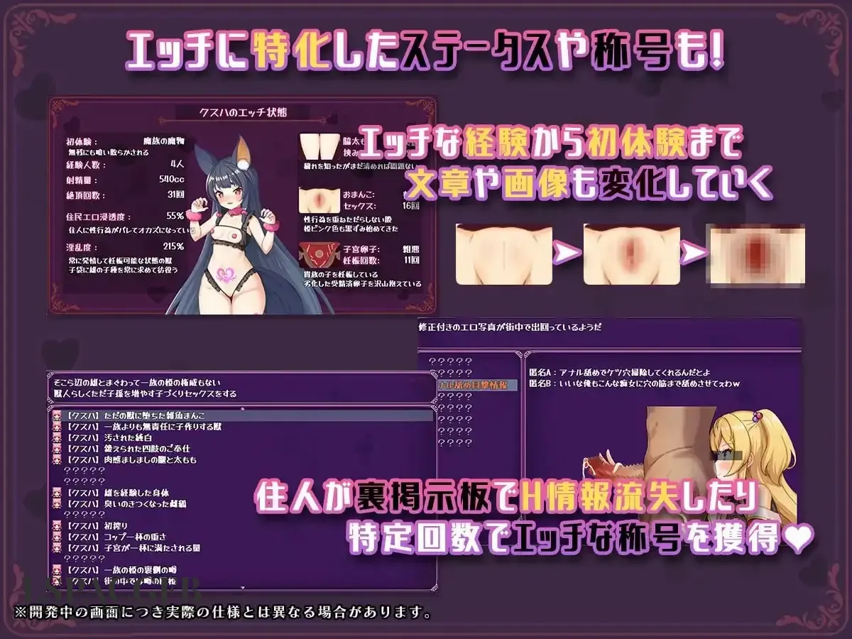 11.webp
