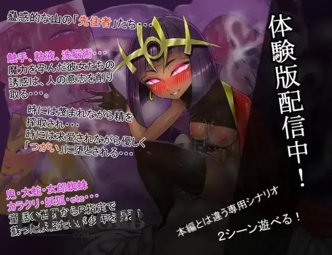 8.webp