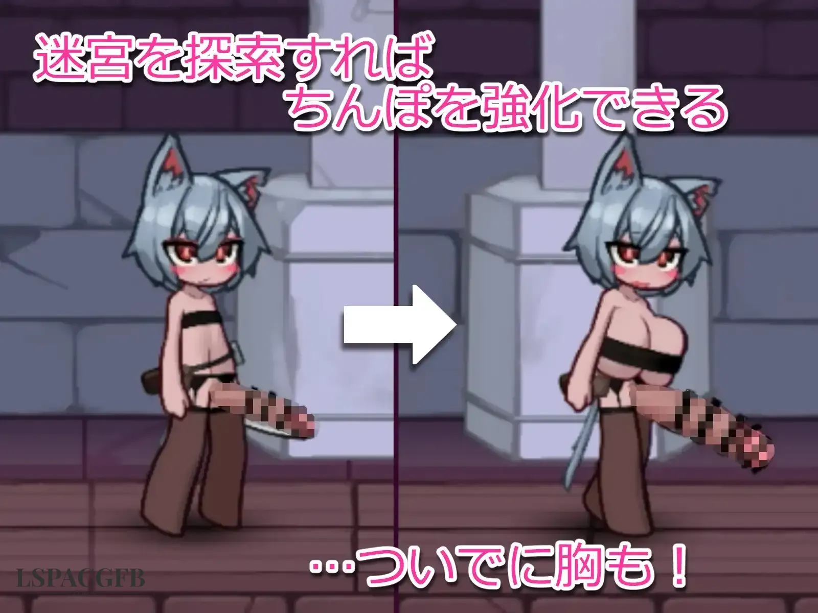 7.webp