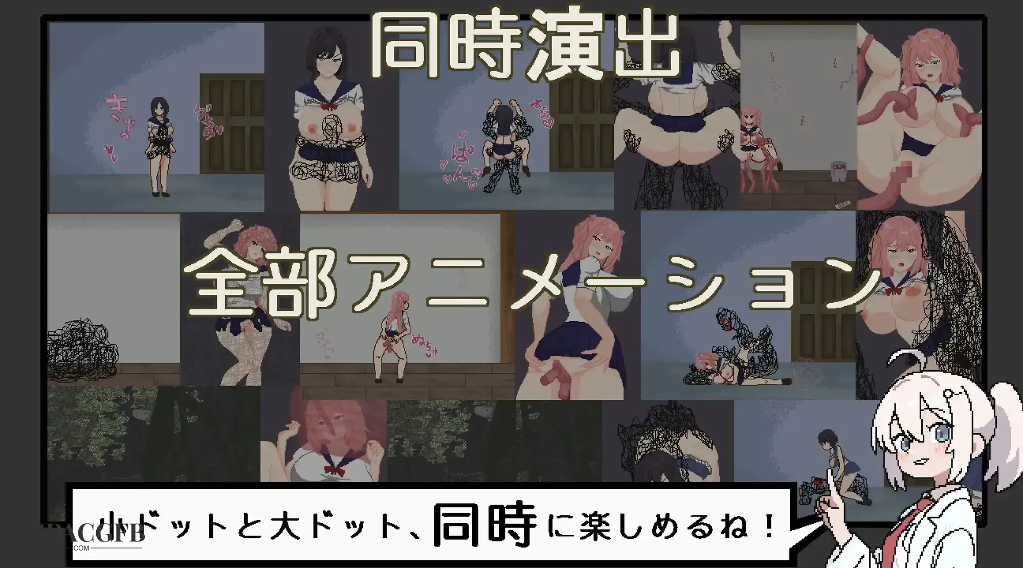 6.webp