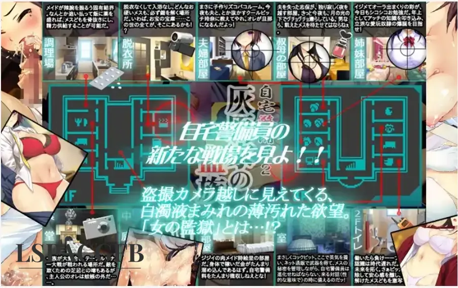 7.webp