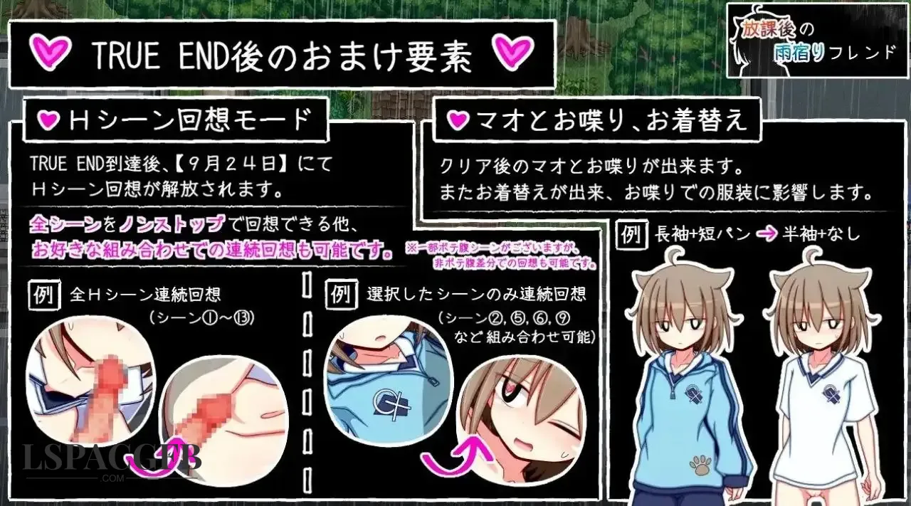 4.webp