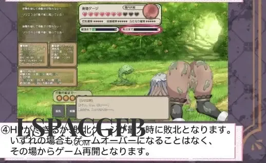 3.webp