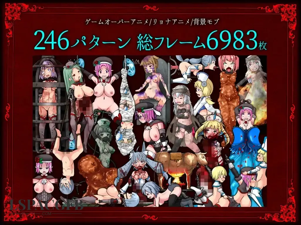 12.webp