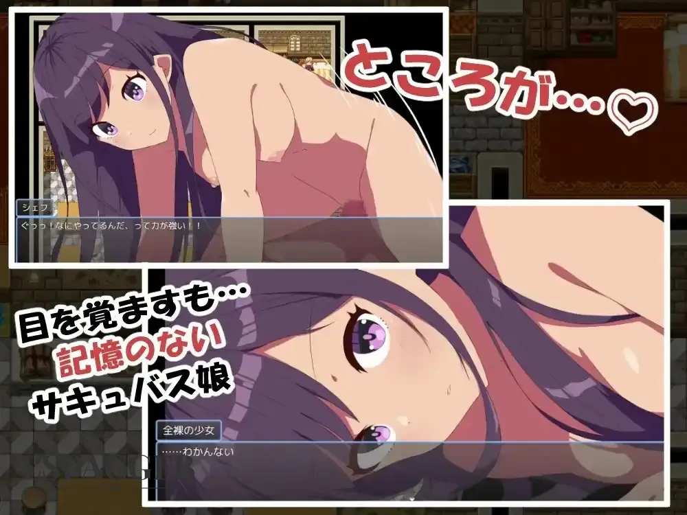 5.webp