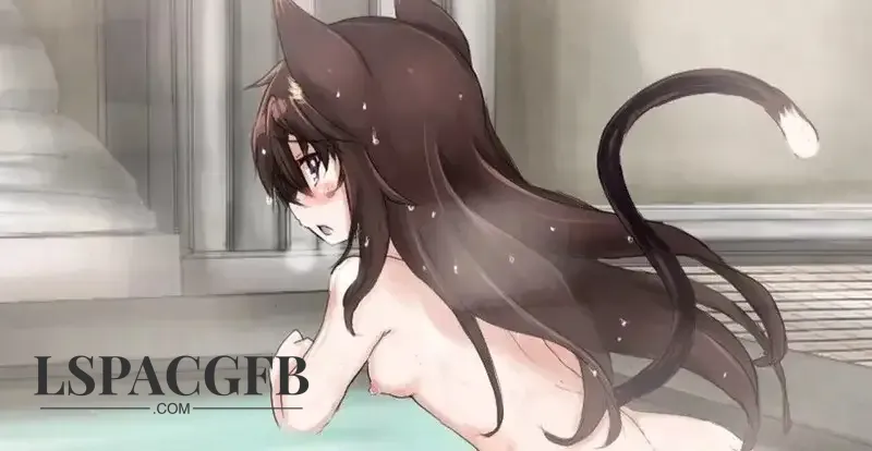 5.webp