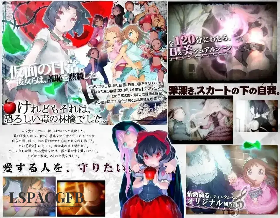 8.webp