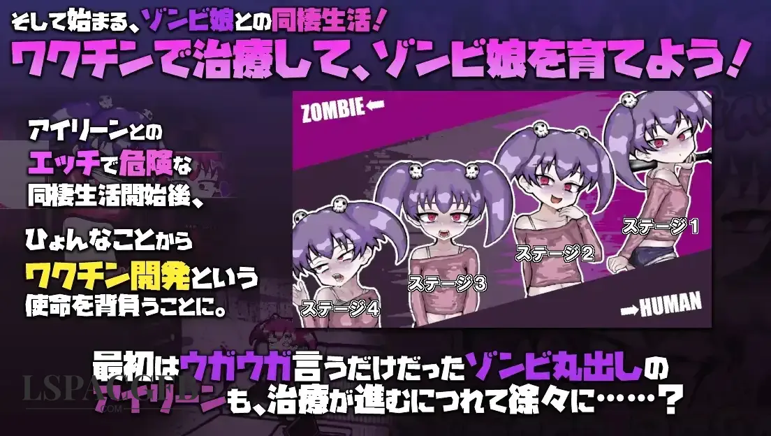 2.webp