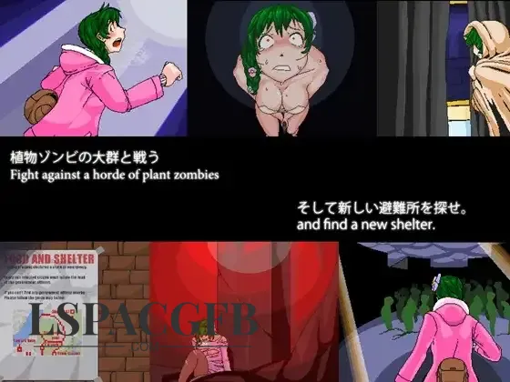 4.webp