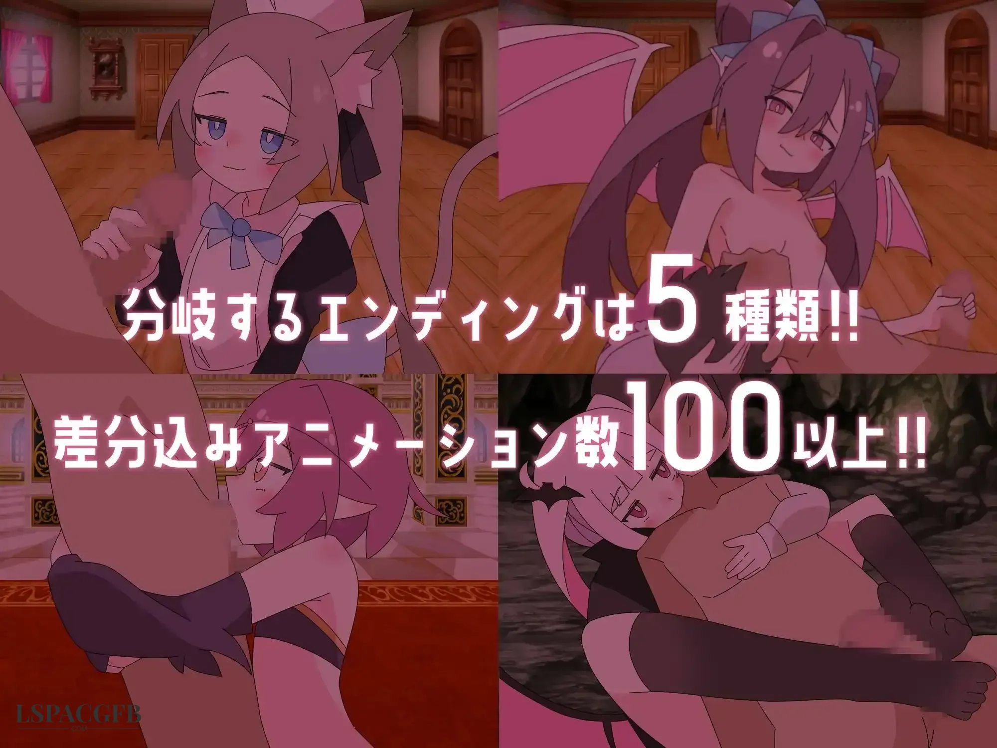 5.webp