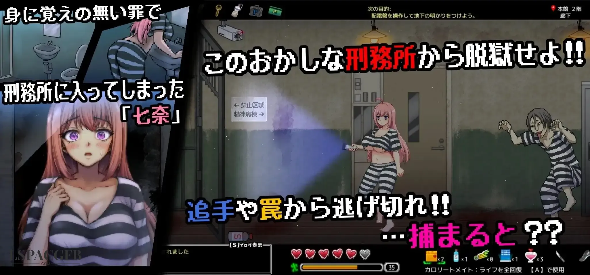 7.webp