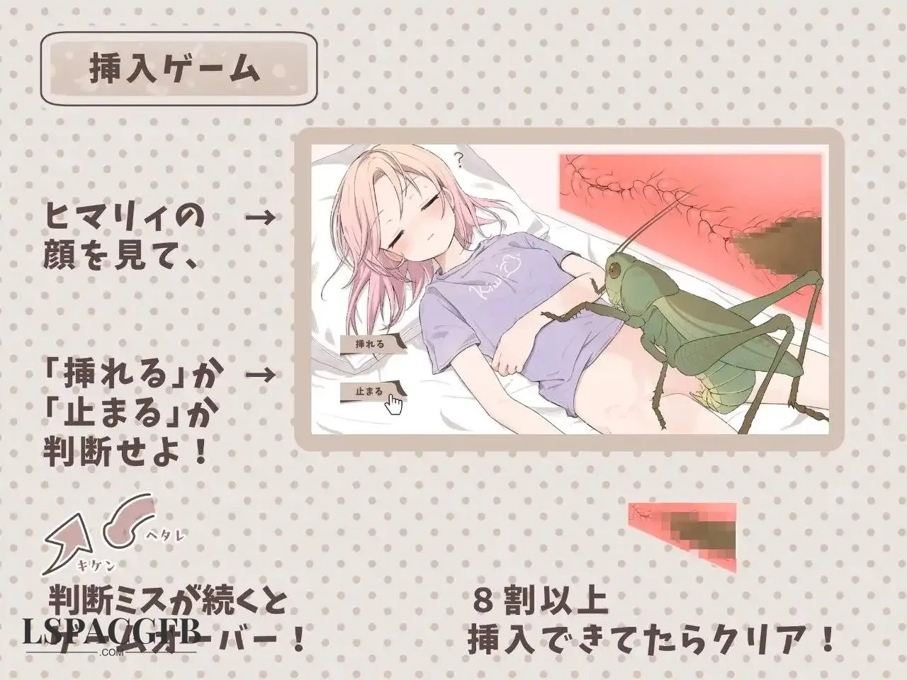 3.webp