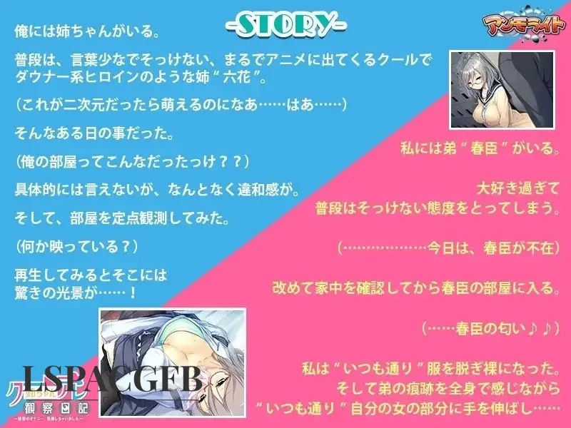4.webp