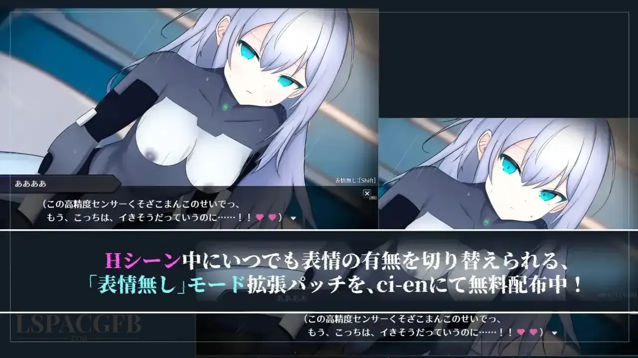 5.webp