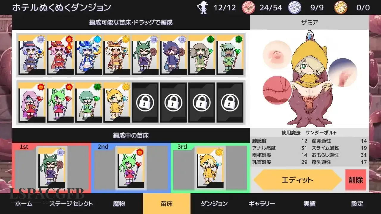 11.webp