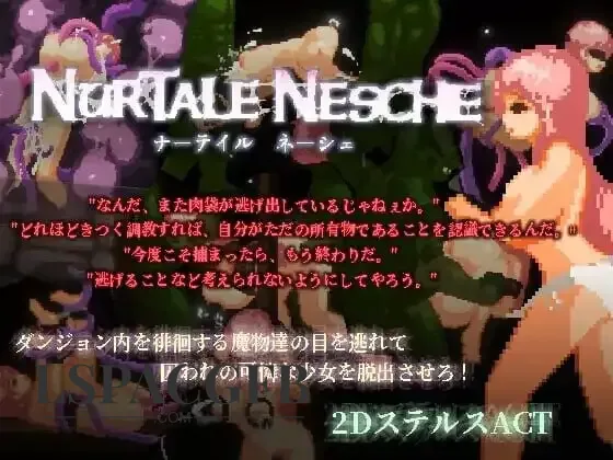 8.webp