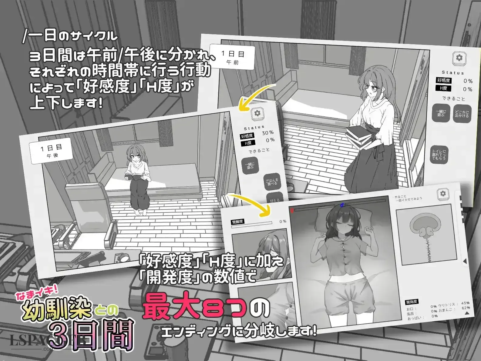 3.webp
