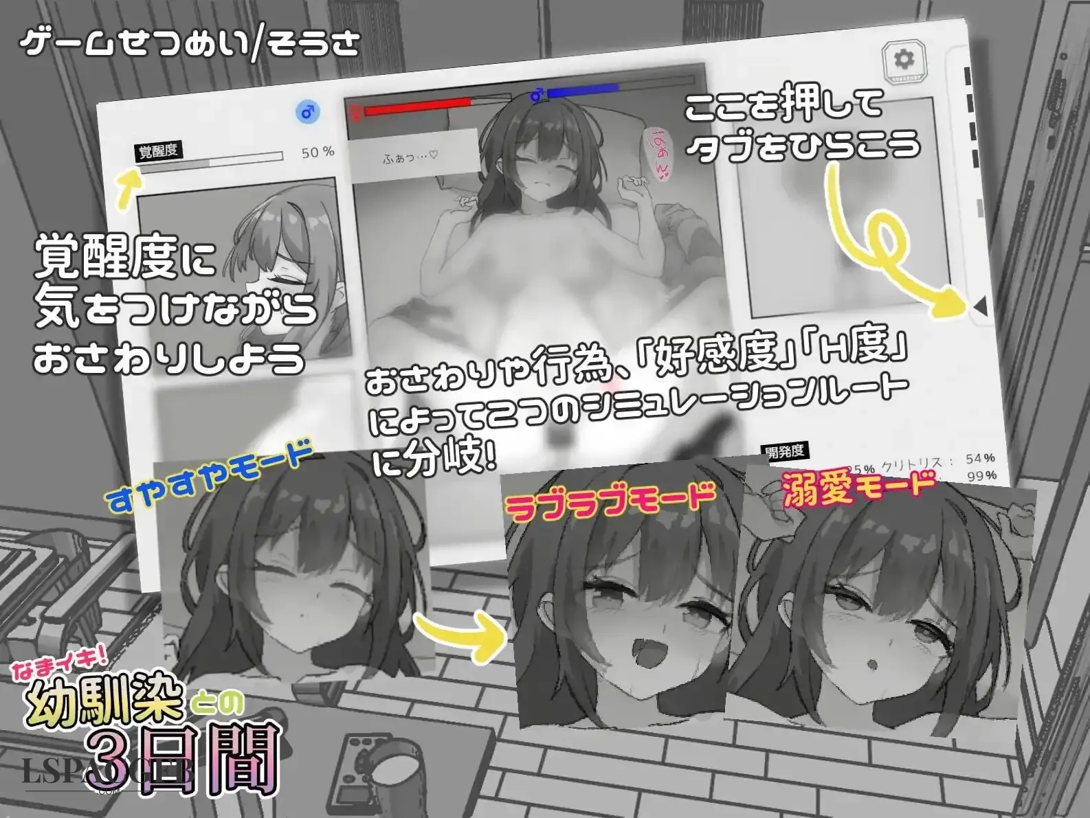 5.webp