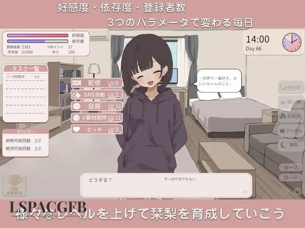 7.webp