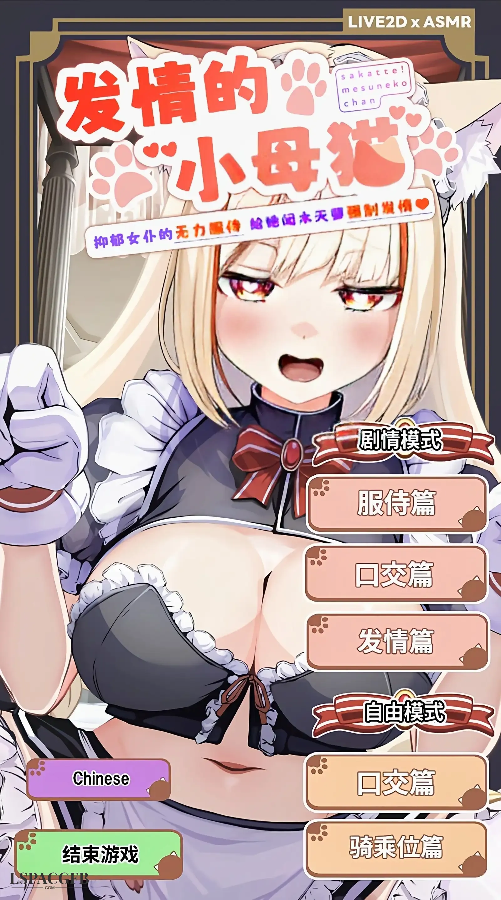 5.webp
