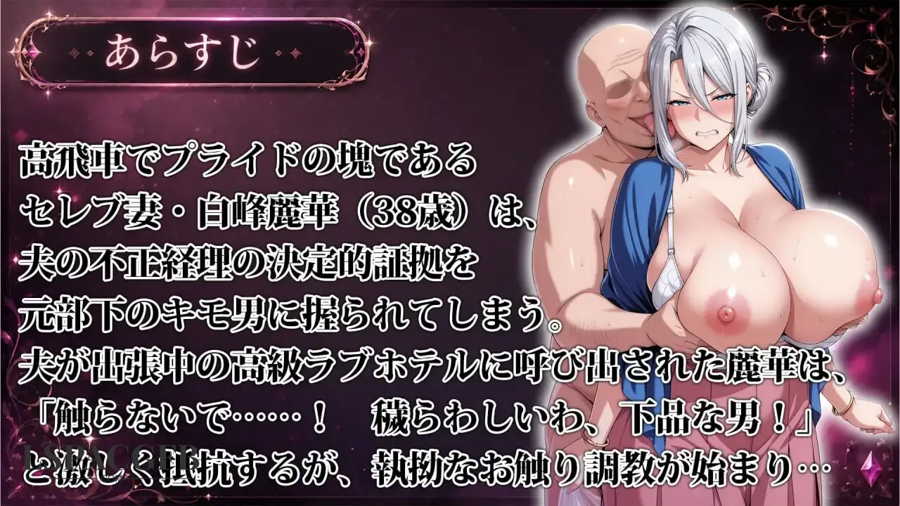11.webp