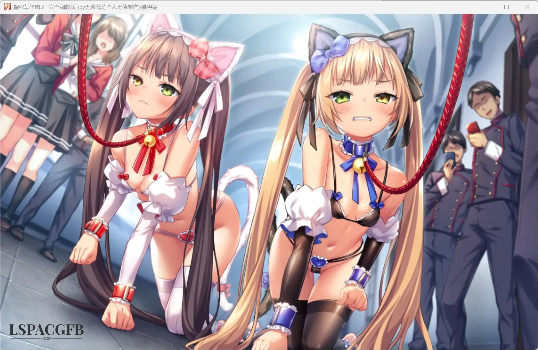 4.webp