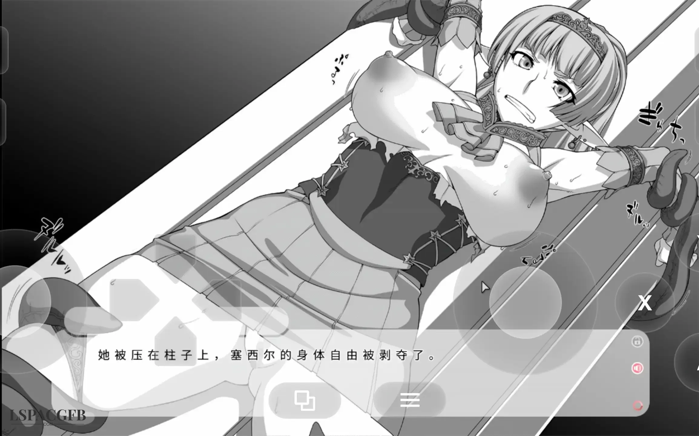 11.webp