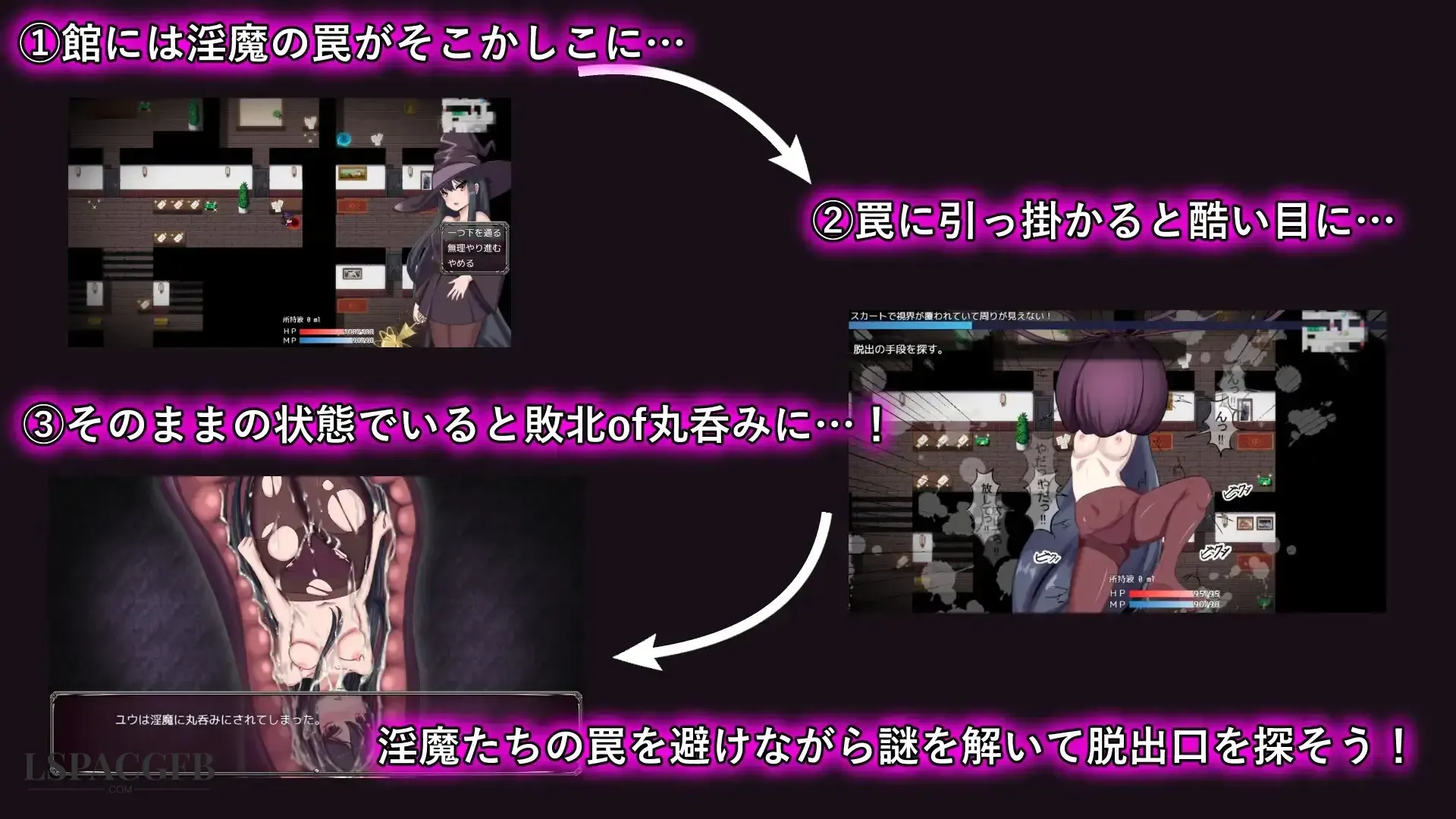 7.webp