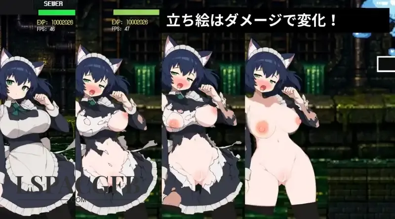 3.webp