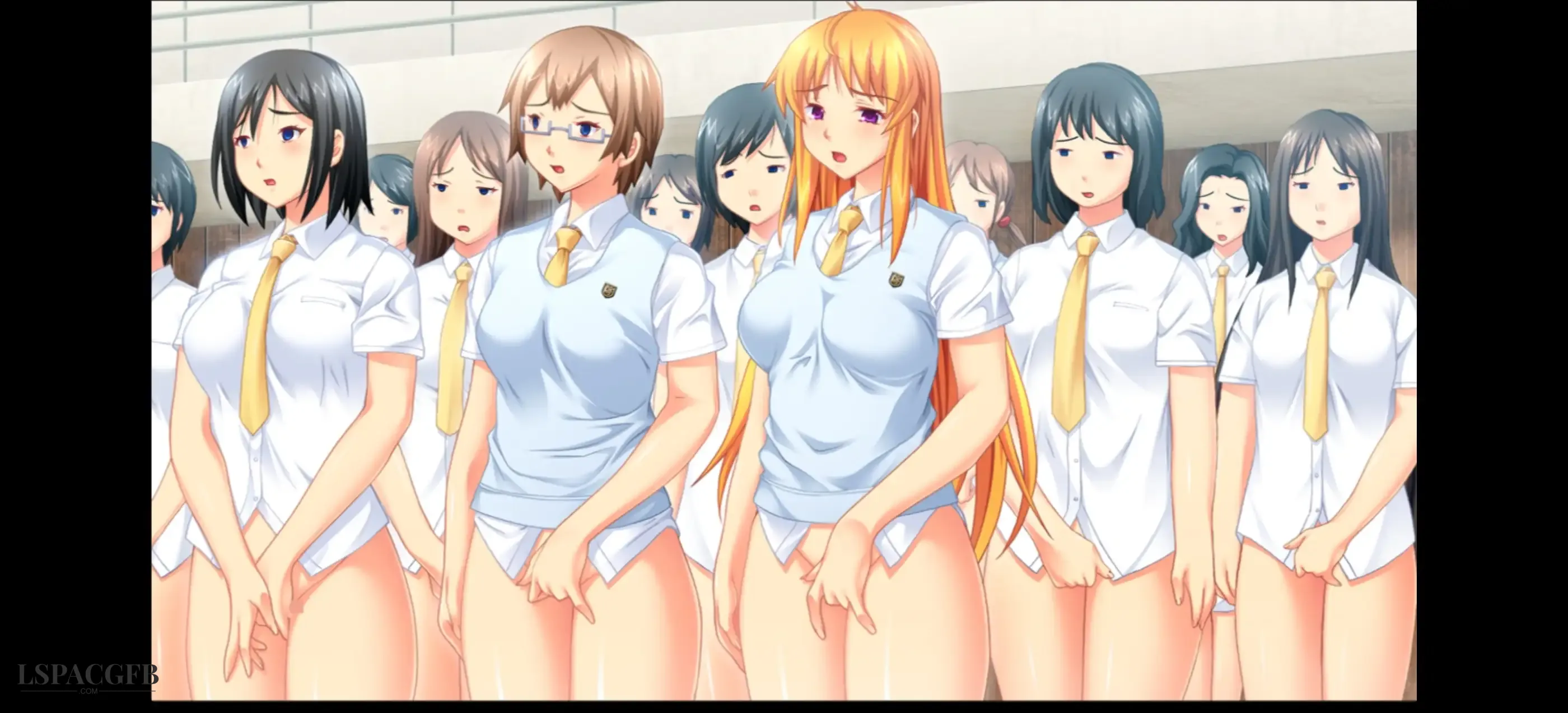 5.webp