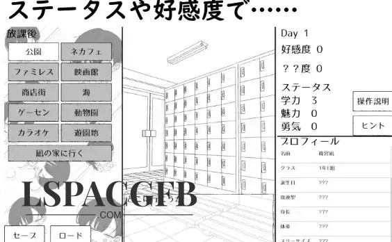 11.webp