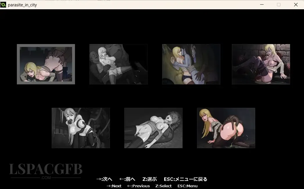 5.webp