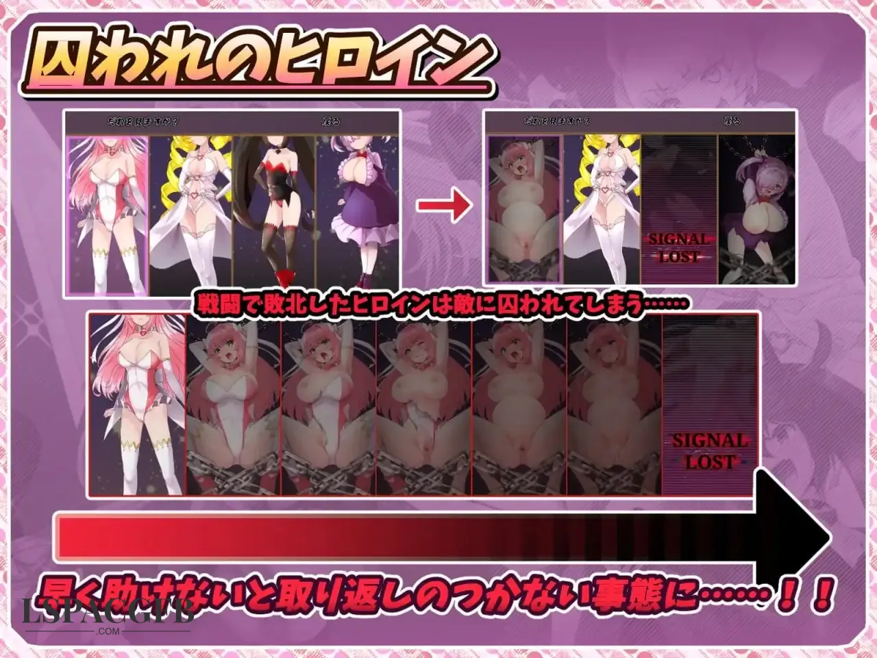 7.webp