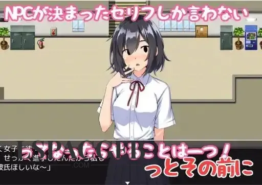 4.webp