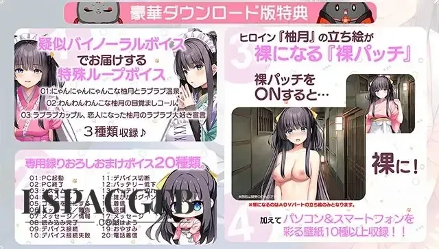 11.webp